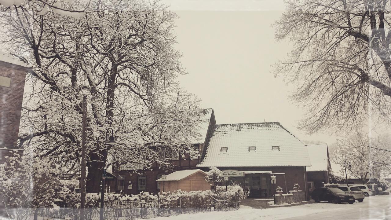 Zum Landhaus Dannenbuettel Sassenburg エクステリア 写真